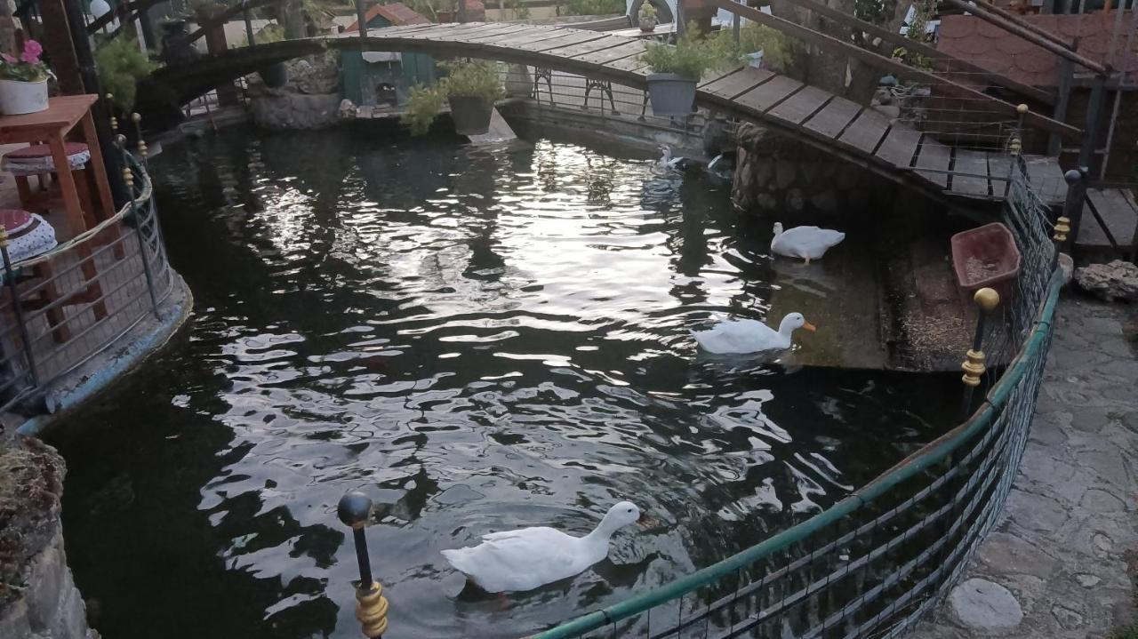 伊尔拉格托住宿加早餐旅馆 卡斯特罗维拉里 外观 照片